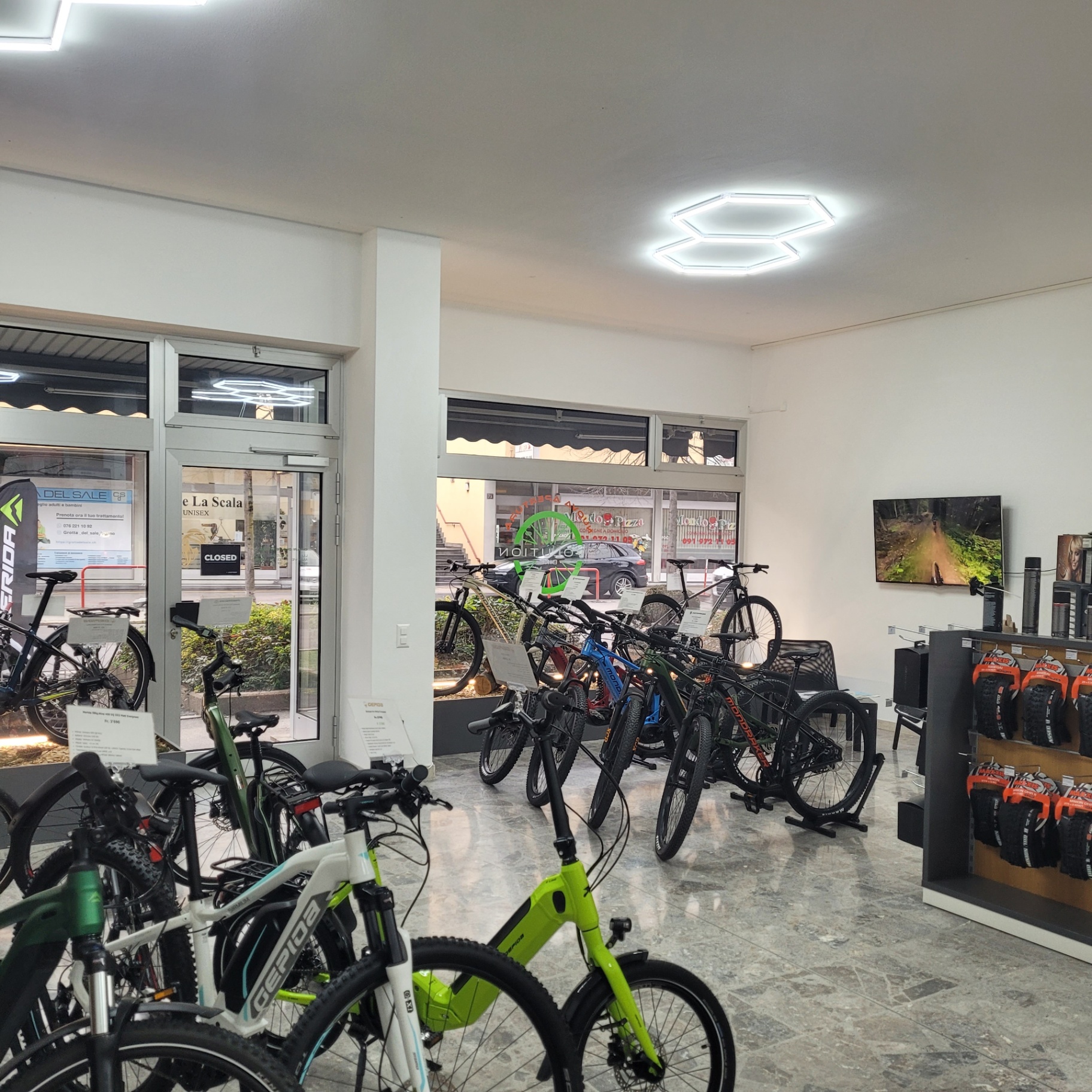 Showroom Evolution Bike
